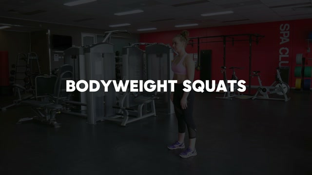 Bodyweight Squat demonstration