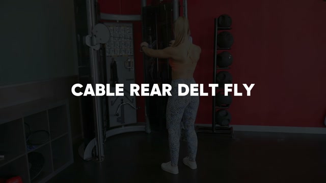 Cable Rear Delt Fly demonstration