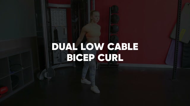 Dual Low Cable Bicep Curl demonstration