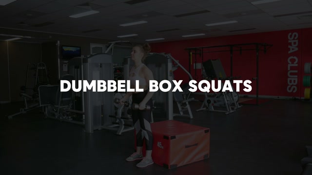 Dumbbell Box Squat demonstration