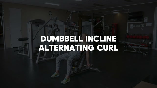 Incline Alternating Dumbbell Curls demonstration