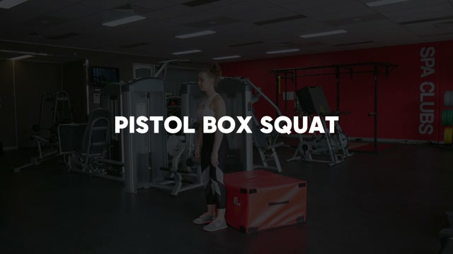 Assisted Pistol Squat demonstration