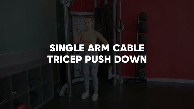 Single Cable Tricep Pushdown demonstration