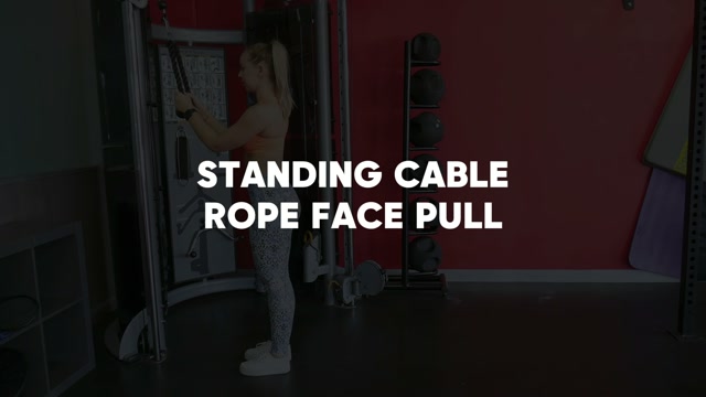 Face Pull (Band) demonstration