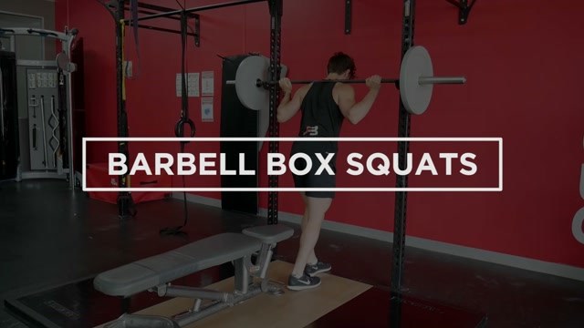 Barbell Box Squat demonstration