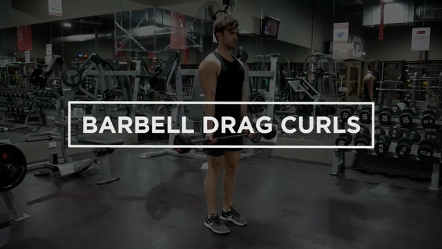 Barbell Drag Curls demonstration