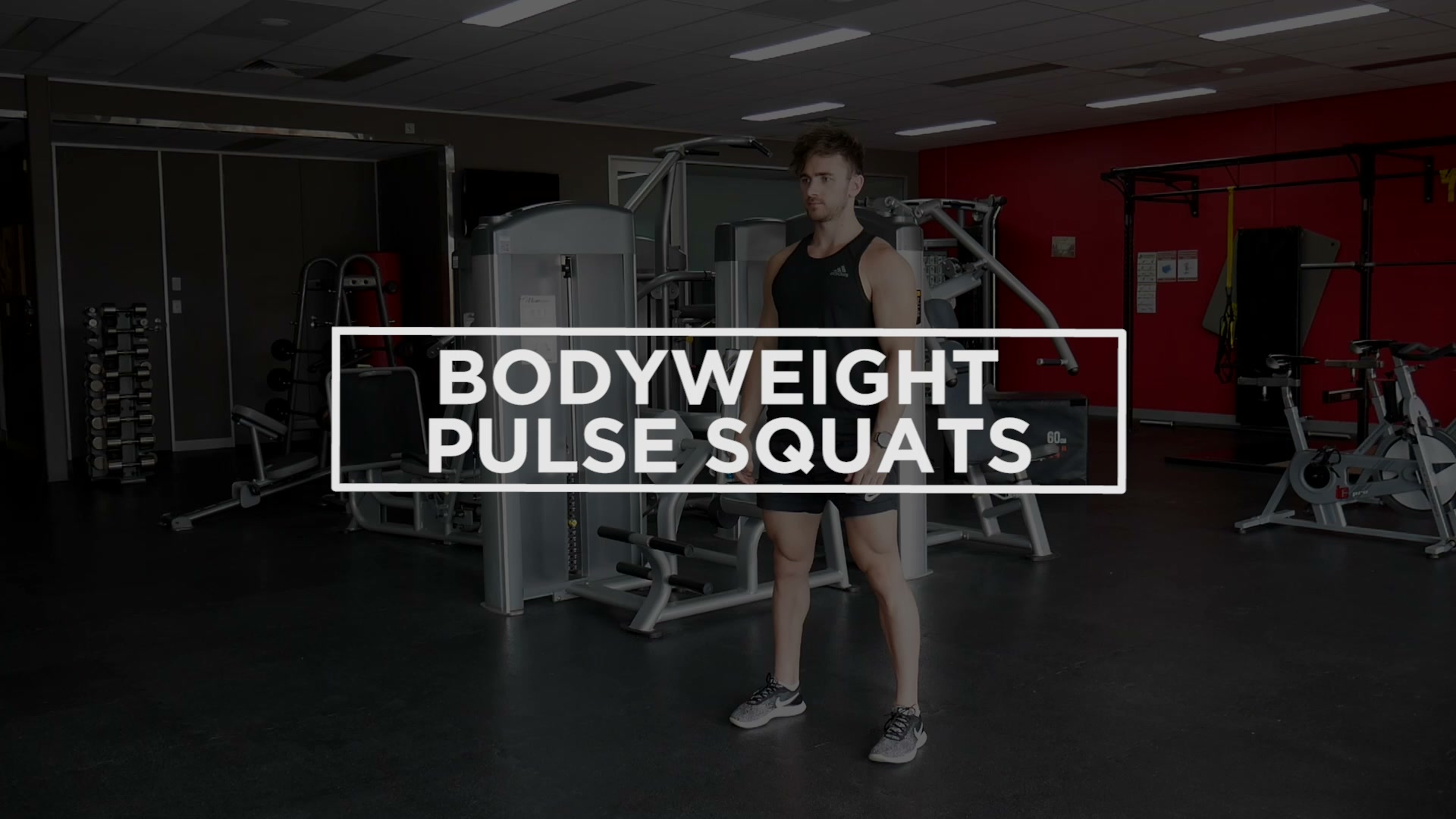 Bodyweight Pulse Squats demonstration