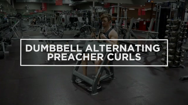 Dumbbell Alternating Preacher Curls demonstration