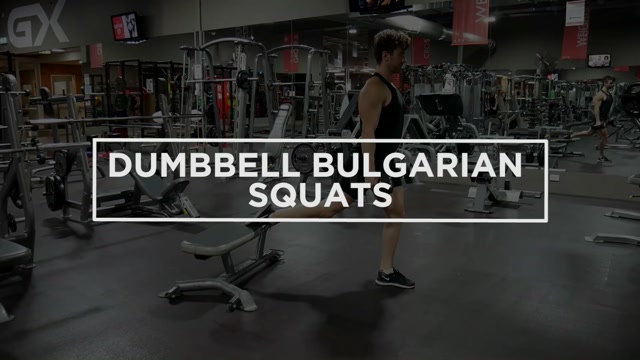 Bulgarian Split Squat (Dumbbell) demonstration