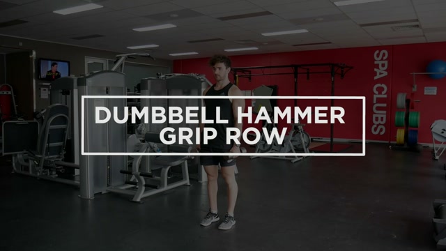 Dumbbell Hammer Grip Row demonstration