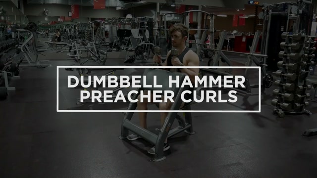 Dumbbell Hammer Preacher Curls demonstration