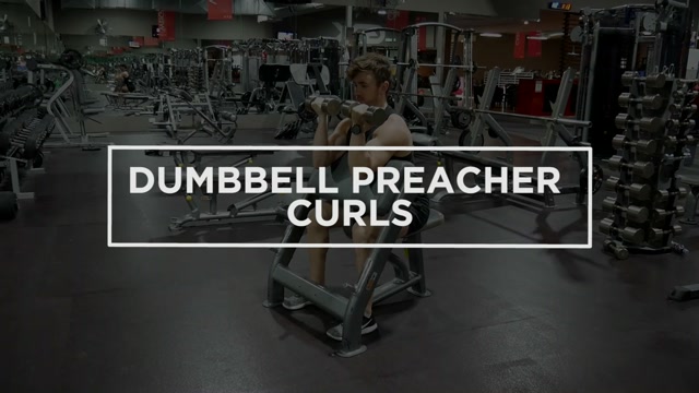 Dumbbell Preacher Curls demonstration