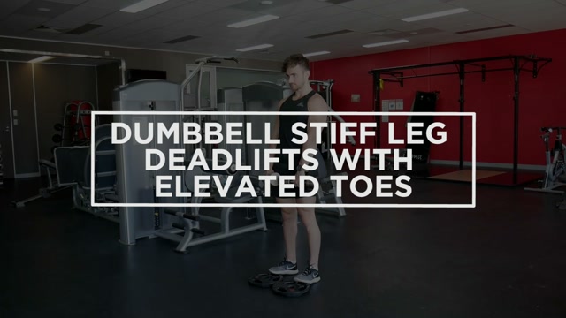 Dumbbell Stiff Leg Deadlifts With Elevated Toes demonstration