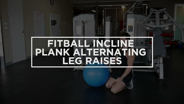 Fitball Incline Plank Alternating Leg Raises demonstration