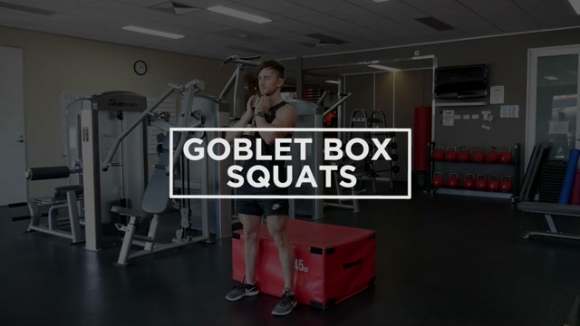 Goblet Box Squats demonstration