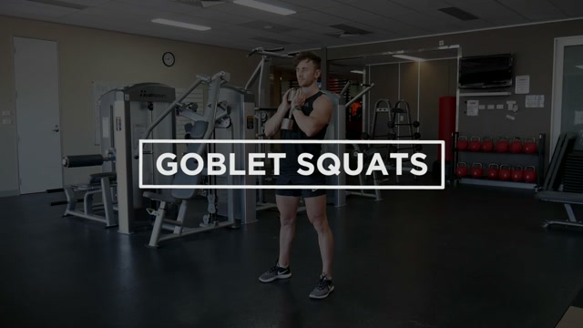 Double Kettlebell Front Squat demonstration