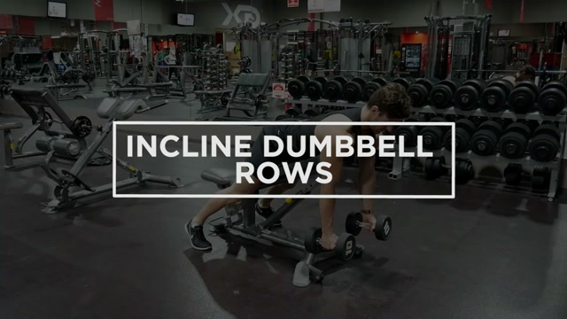 Dumbbell Bent-Over Row demonstration
