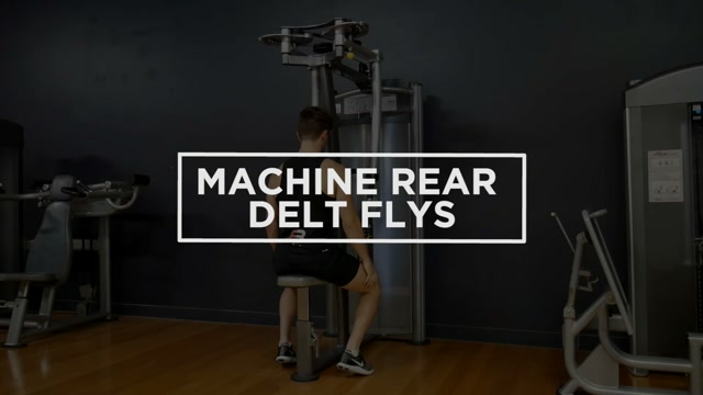 Machine Rear Delt Raise demonstration