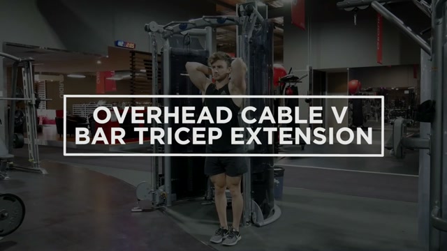 Overhead Cable v Bar Tricep Extension demonstration