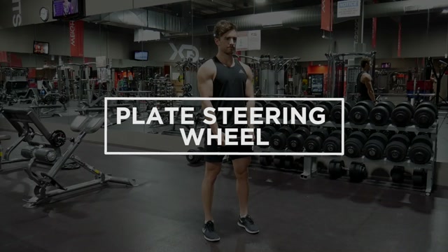 Plate Steering Wheel demonstration