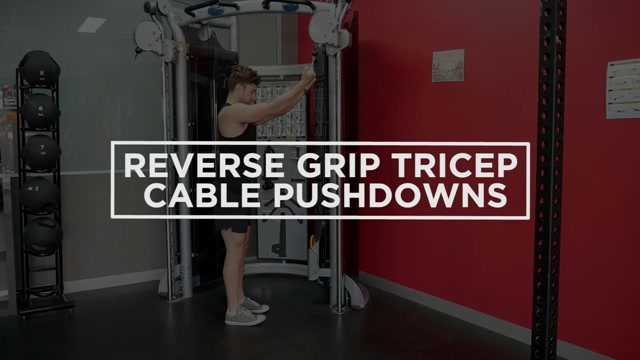 Reverse Grip Tricep Cable Pushdowns demonstration