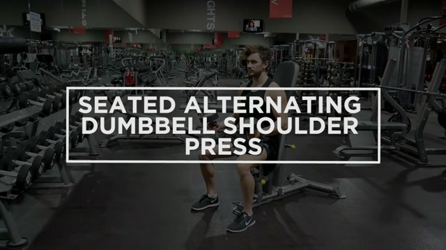 Seated Alternating Dumbbell Shoulder Press demonstration