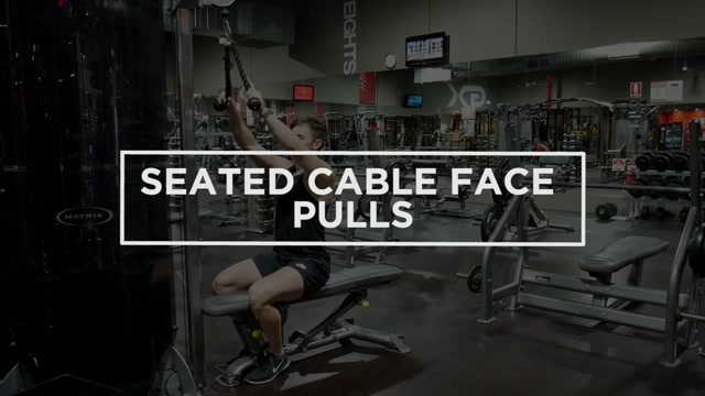 Cable Face Pulls (Seated) demonstration