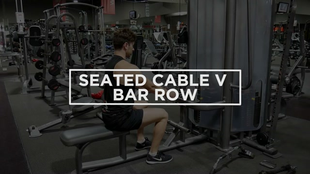 Close Grip Cable Row demonstration