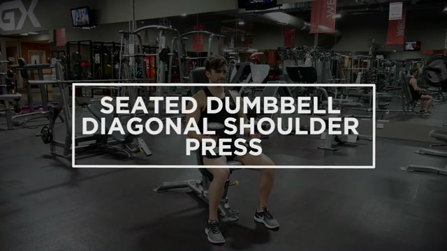 Seated Dumbbell Diagonal Shoulder Press demonstration