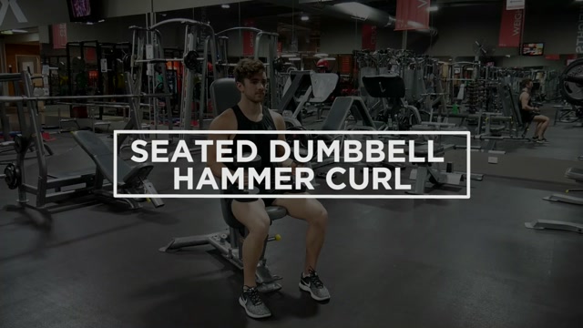 Seated Hammer Curl demonstration