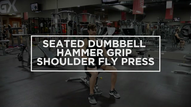 Seated Dumbbell Hammer Grip Shoulder Fly Press demonstration