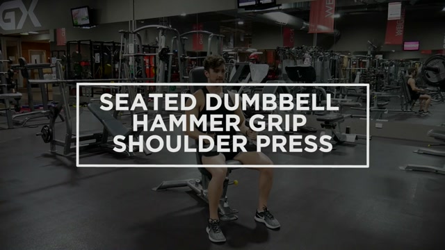 Seated Dumbbell Hammer Grip Shoulder Press demonstration