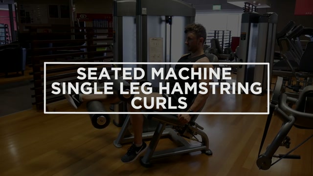 Standing Leg Curl demonstration