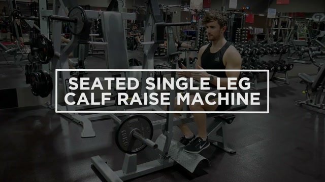 Seated Single Leg Calf Raise Machine demonstration
