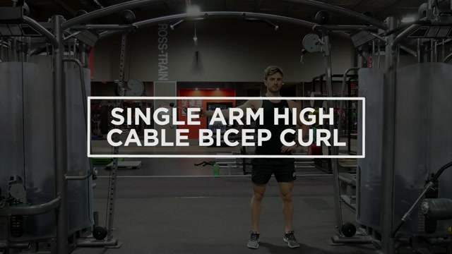 Single Arm High Cable Bicep Curl demonstration