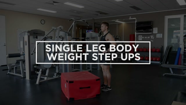 Single Leg Body Weight Step Ups demonstration