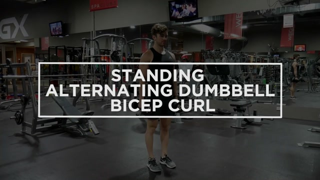 Standing Alternating Dumbbell Bicep Curl demonstration