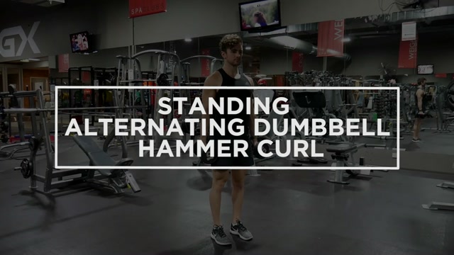 Cross-Body Hammer Curl demonstration