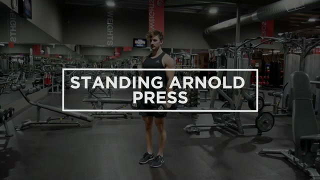 Standing Arnold Press demonstration
