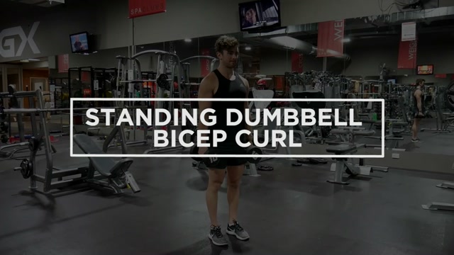 Standing Dumbbell Bicep Curl demonstration
