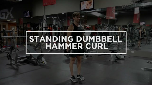 Standing Dumbbell Hammer Curl demonstration