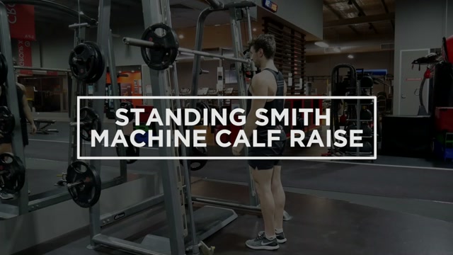Standing Calf Raise (Smith Machine) demonstration