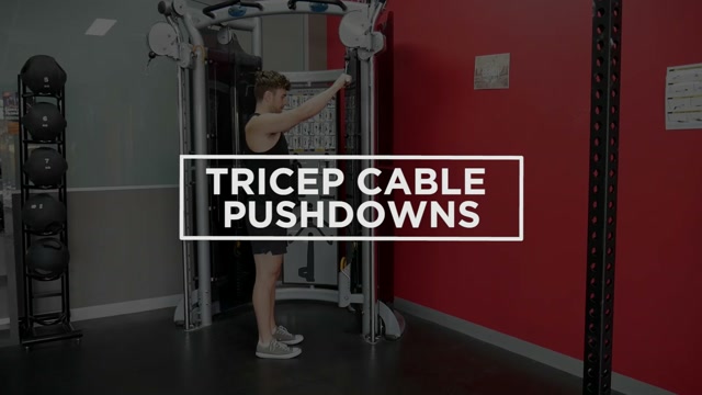 Tricep Pushdowns demonstration