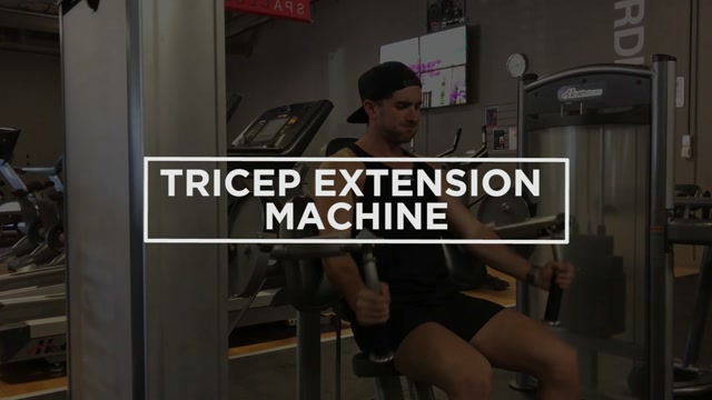 Machine Tricep Extension demonstration