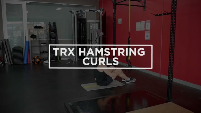 TRX Hamstring Curl demonstration