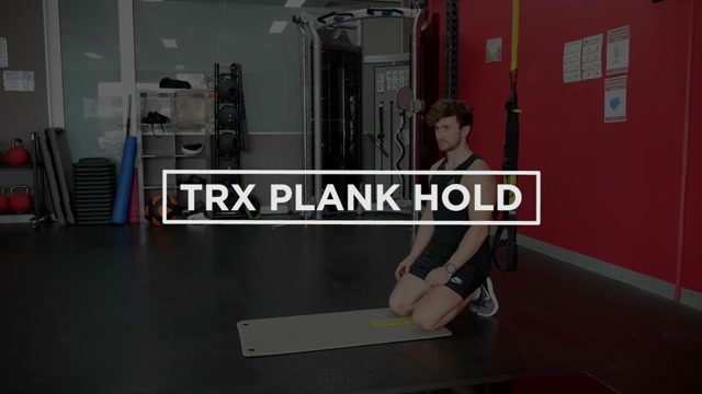 TRX Plank Hold demonstration